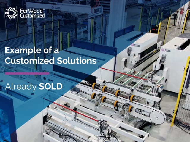 Double End Tenoning Line FERWOOD CUSTOMIZED FW DET LINE